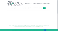 Desktop Screenshot of gour-medical.com